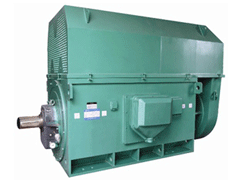 Y4004-2/630KWY系列6KV高压电机